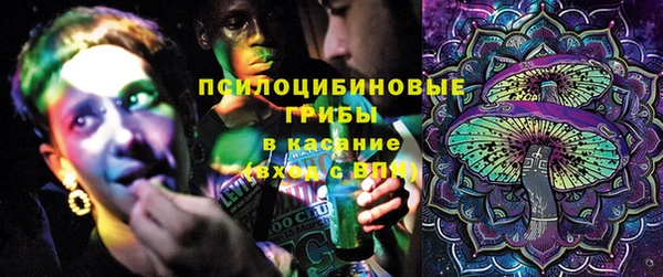 эйфоретик Грязи