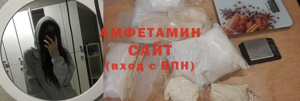 шишки Коряжма