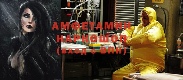 сатива Грязовец