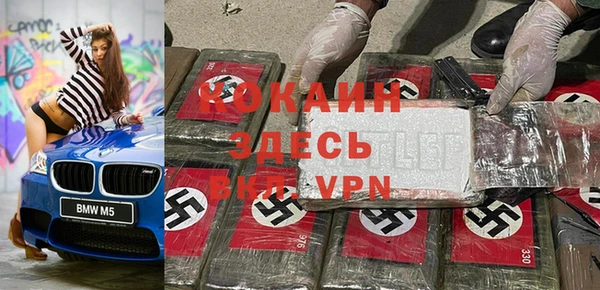 сатива Грязовец