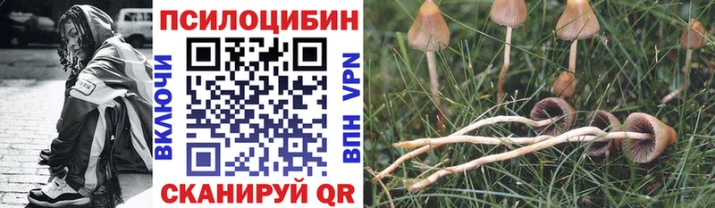 Купить  Городец  Псилоцибиновые грибы прущие грибы 